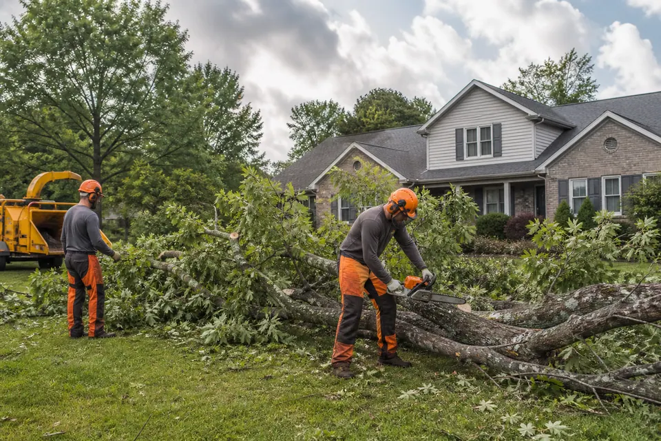 Tree crew cutting a storm-damaged limb on the ground at a home